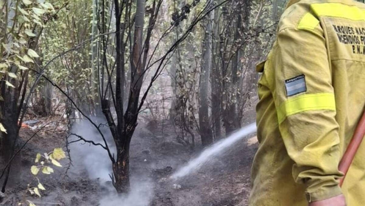 El incendio alertó a los vecinos de la ciudad.&nbsp;