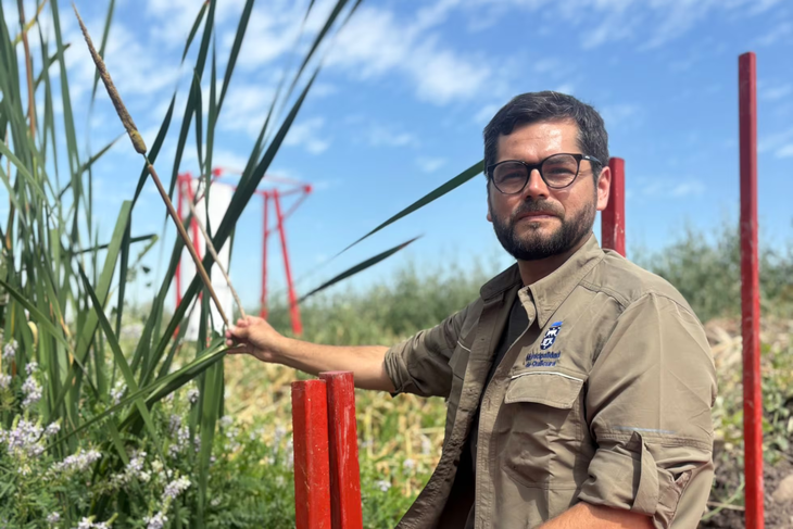 Felipe González, director de Gestión Ambiental de la Municipalidad de Quilicura.Muriel Alarcón Felipe González, director de Gestión Ambiental de la Municipalidad de Quilicura.Muriel Alarcón