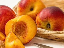 La nueva joya frutícola de Chile: la nectarina. La nueva joya frutícola de Chile: la nectarina.