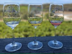 el gigante que descubrio como hacer un vino sin alcohol delicioso el gigante que descubrio como hacer un vino sin alcohol delicioso