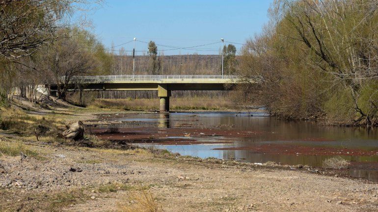 Tres muestras de la alarmante situación de las costas del Limay en el balneario Albino Cotro