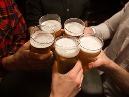 El lúpulo resulta tener una amplia gama de propiedades beneficiosas para la salud. El lúpulo resulta tener una amplia gama de propiedades beneficiosas para la salud.