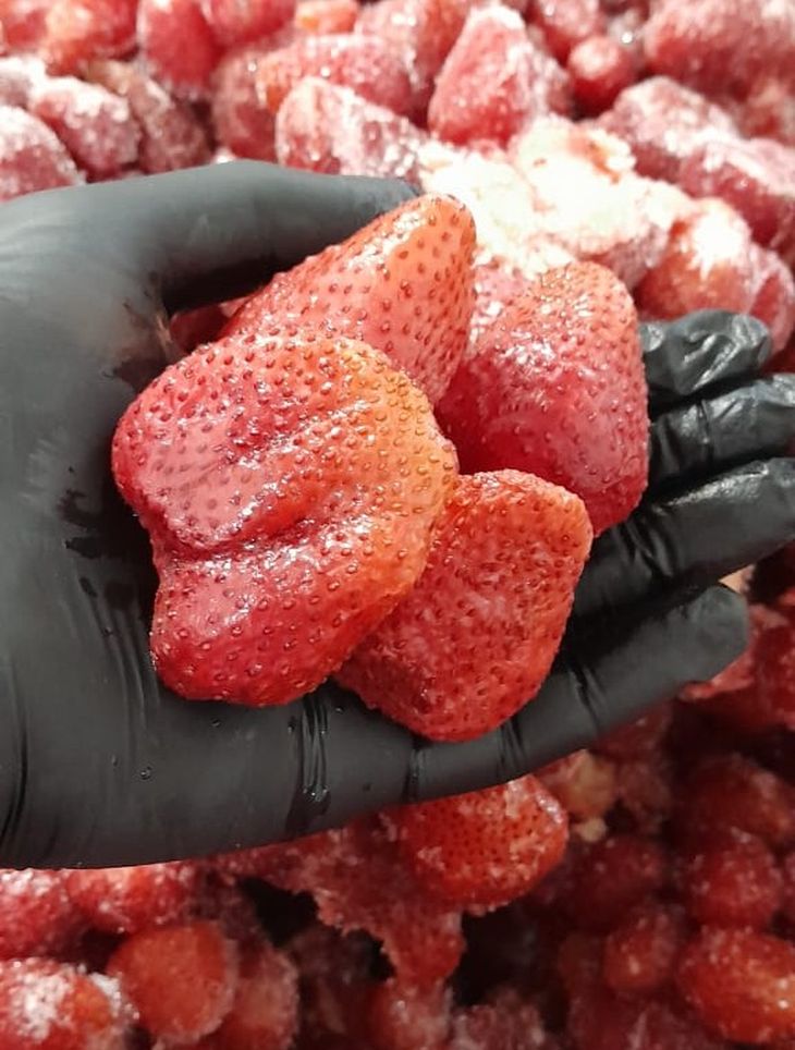 En el corazón de Huingán Có, la Fábrica de Dulces, un emblema de gestión municipal desde 1978, donde trabajan mujeres como Ana López elaborando los sabores del norte neuquino. Foto: gentileza En el corazón de Huingán Có, la Fábrica de Dulces, un emblema de gestión municipal desde 1978, donde trabajan mujeres como Ana López elaborando los sabores del norte neuquino. Foto: gentileza