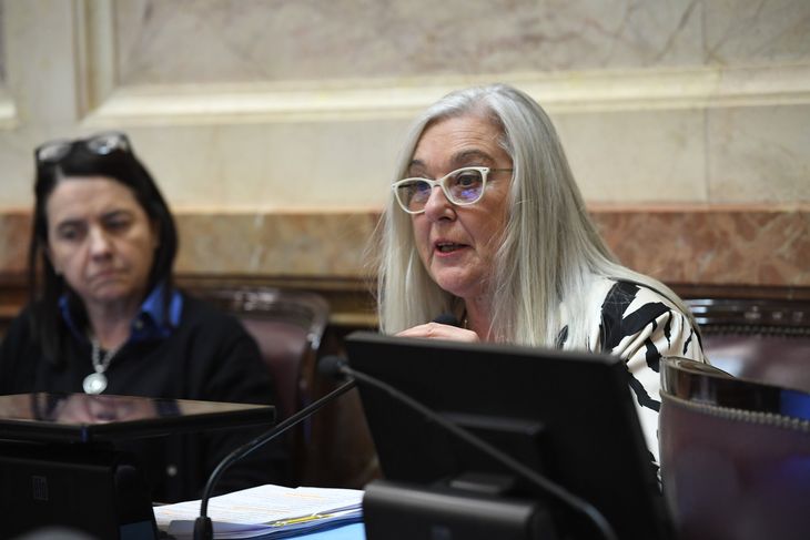 La senadora Edith Terenzi pide avanzar en el tratamiento de la propuesta para impulsar las cuencas maduras. (Foto: @EdithTerenzi) La senadora Edith Terenzi pide avanzar en el tratamiento de la propuesta para impulsar las cuencas maduras. (Foto: @EdithTerenzi)