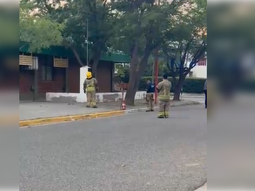 El incidente ocurrió el lunes en la Escuela Primaria 313 del Manzanar. El incidente ocurrió el lunes en la Escuela Primaria 313 del Manzanar.