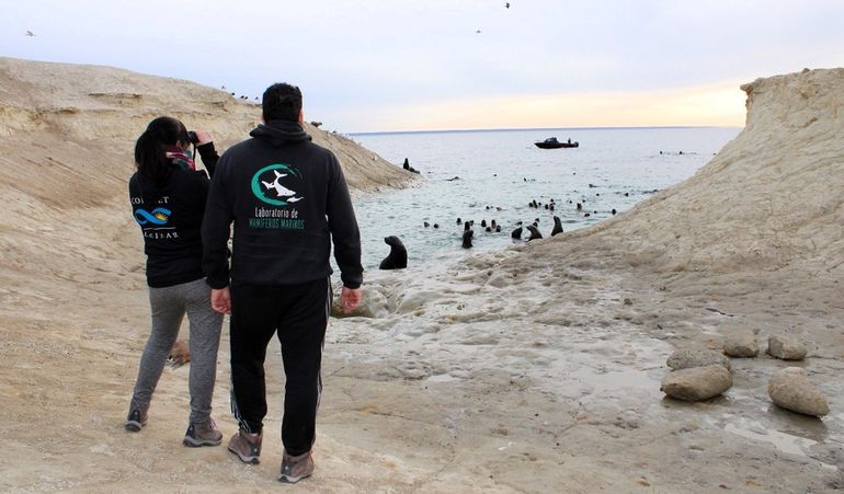 Avistaje de lobos marinos cerca de Puerto Madryn. Avistaje de lobos marinos cerca de Puerto Madryn.