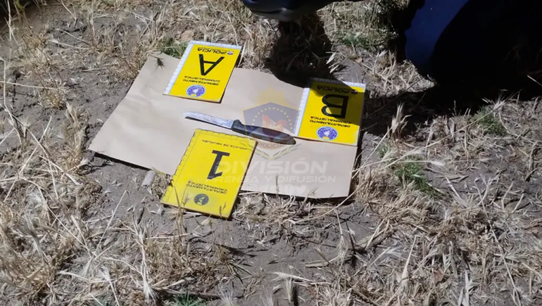 Paseo de la Costa: le pidió la hora y le dio un puntazo al pecho