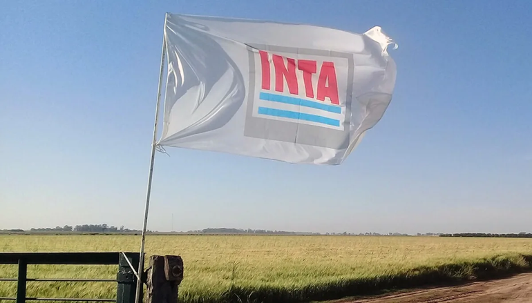 La motosierra avanza: ahora le toca al INTA y la IGJ, y hay preocupación de los trabajadores