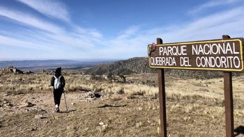 El sobrevuelo del piloto a baja altura afectó a la fauna del lugar, especialmente a los cóndores andinas, especies vulnerables y de escasa población en la zona. El sobrevuelo del piloto a baja altura afectó a la fauna del lugar, especialmente a los cóndores andinas, especies vulnerables y de escasa población en la zona.
