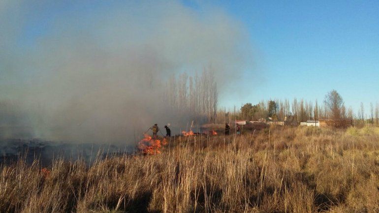 Bomberos combaten otro incendio de pastizales en Plottier