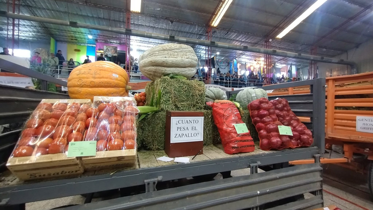 La muestra congregó a más de 100 stands y más de 20 concursos. Foto: gentileza La muestra congregó a más de 100 stands y más de 20 concursos. Foto: gentileza