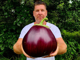 La hazaña alcanzada por el horticultor Erik Gunstrom en Pensilvania&nbsp;