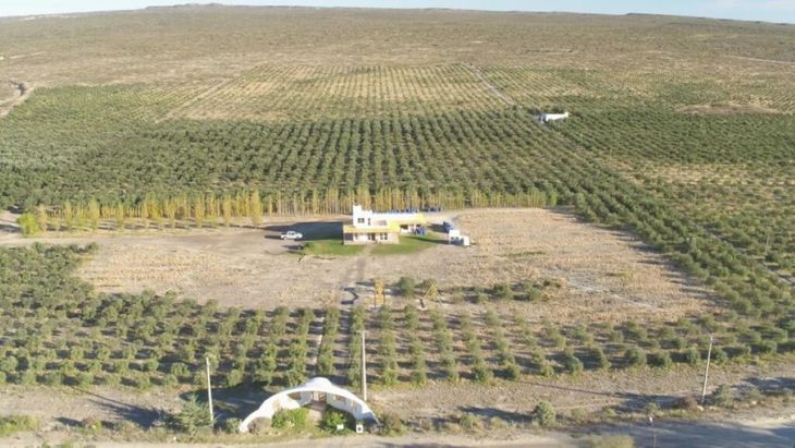 Tras la inauguración de una nueva planta cloacal, el suministro se interrumpió y aún no hay una solución definitiva. Tras la inauguración de una nueva planta cloacal, el suministro se interrumpió y aún no hay una solución definitiva.