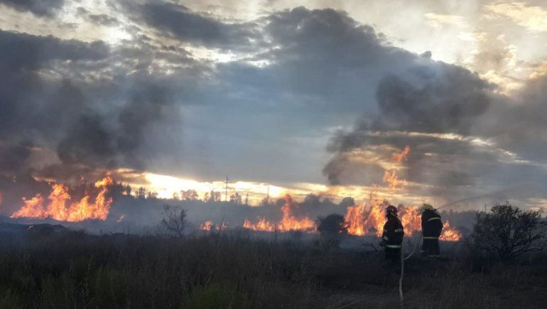 El Chañar: las llamas consumieron 30 hectáreas de campo