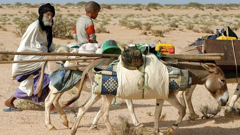 Cómo afecta la sequía en los países del sur de África. Cómo afecta la sequía en los países del sur de África.