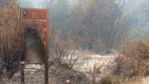 El incendio forestal afectó varias hectáreas en el Parque Nacional Los Alerces. El incendio forestal afectó varias hectáreas en el Parque Nacional Los Alerces.