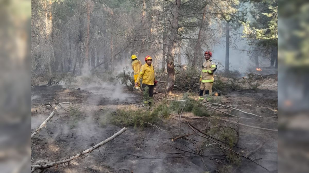 Dos incendios afectaron hectáreas en el Cerro Los Pinos thumbnail
