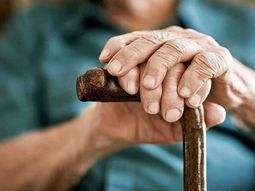 Aportes, antigüedad, notificación y despido: todo lo que cambia cuando un trabajador se jubila y continúa trabajando. Aportes, antigüedad, notificación y despido: todo lo que cambia cuando un trabajador se jubila y continúa trabajando.