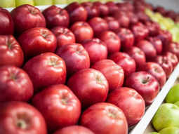 Poca demanda por la manzana en esta primera parte del año. Poca demanda por la manzana en esta primera parte del año.
