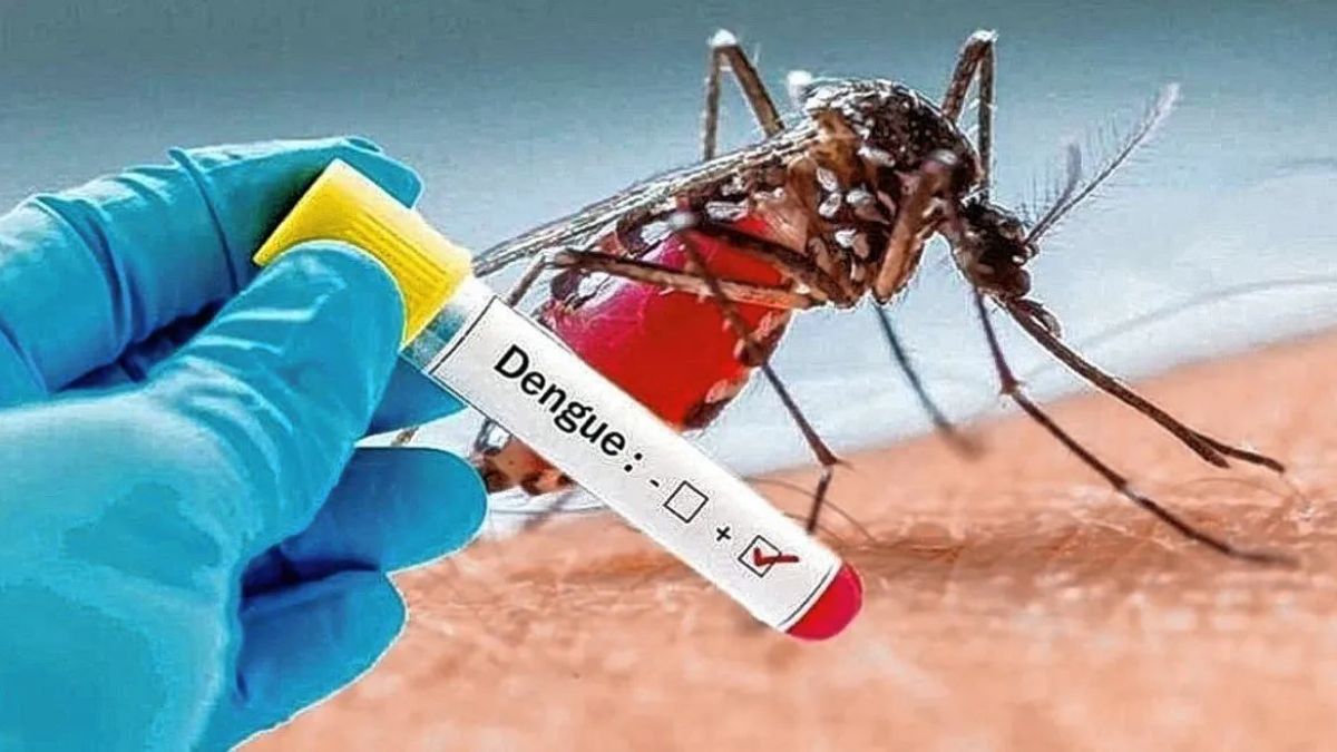 La OMS aprueba nueva (y potente) vacuna contra el dengue thumbnail