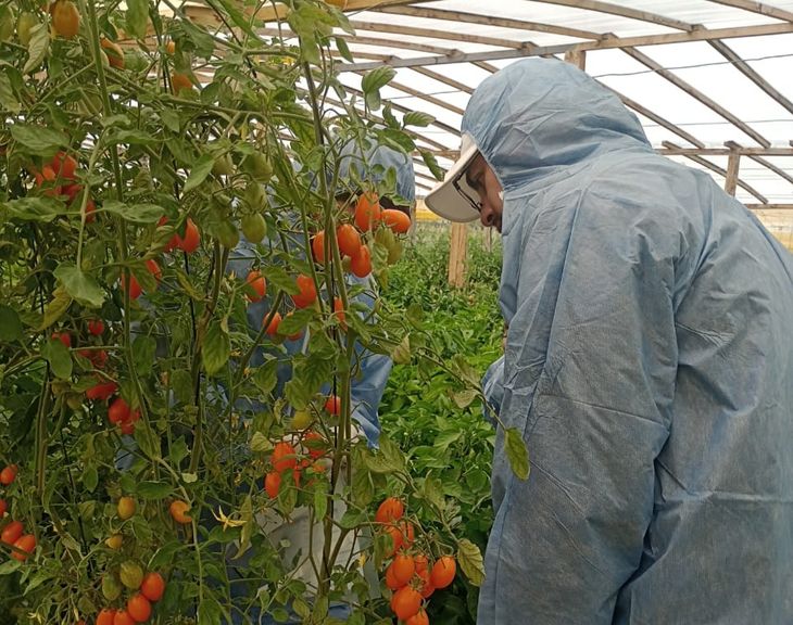Senasa capacitó a técnicos de las instituciones locales y regionales. Foto: Senasa. Senasa capacitó a técnicos de las instituciones locales y regionales. Foto: Senasa.