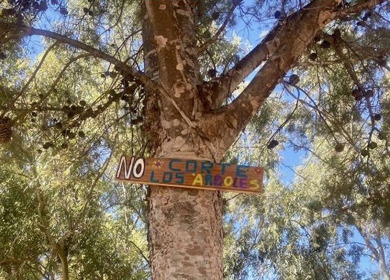 Los carteles en la barda y El Picadero que colocaron las mujeres para proteger el medio ambiente.