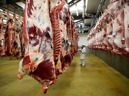 crisis en las exportaciones de carne: china reduce compras a argentina en un 46%