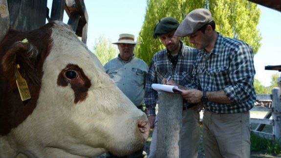 Arrancó hoy la fiesta del campo en la Rural de Junín de los Andes