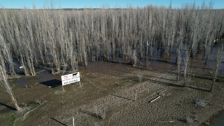 La pelea por esta isla sobre el río Limay va a la Corte.