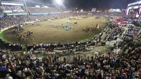 Polémica en Jesus María por muerte de un caballo en plena competencia
