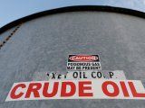 Por la mejora del precio del crudo, vuelve a repuntar el shale de Estados Unidos. REUTERS/Angus Mordant