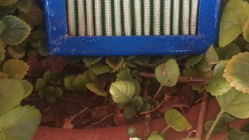 el equipo de camilo neuquen energia da pelea al coronavirus el equipo de camilo neuquen energia da pelea al coronavirus