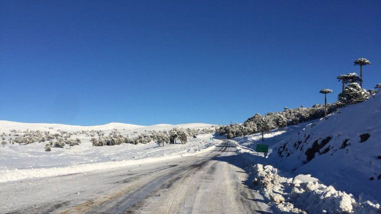 En Pino Hachado  la nieve dio respiro y abrieron el paso