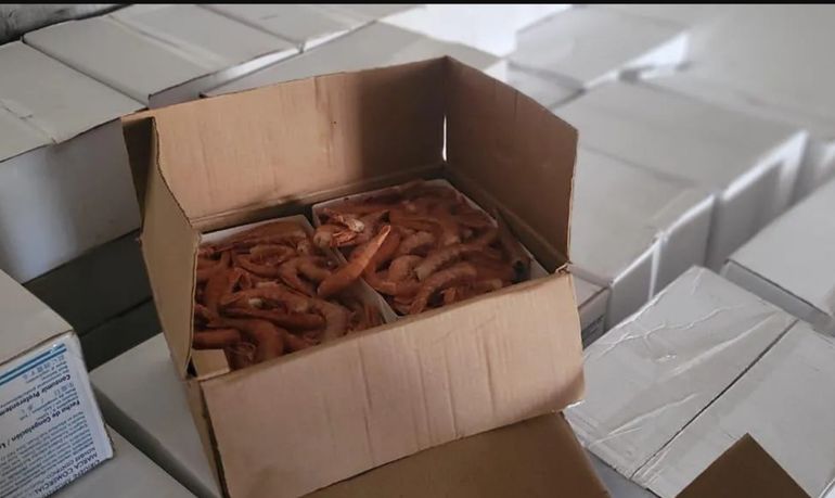 El traslado ilegal de productos del mar es considerado una falta grave en Chubut, ya que atenta contra la seguridad alimentaria y la sustentabilidad de los recursos pesqueros. El traslado ilegal de productos del mar es considerado una falta grave en Chubut, ya que atenta contra la seguridad alimentaria y la sustentabilidad de los recursos pesqueros.