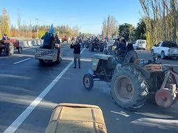 En otros años, los productores del Valle salieron a las rutas a protestar por la falta de rentabilidad. En otros años, los productores del Valle salieron a las rutas a protestar por la falta de rentabilidad.