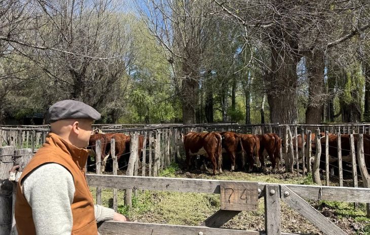 Lauge, ayer recorriendo los lotes de hacienda, en la Expo Bovinos de Junín.