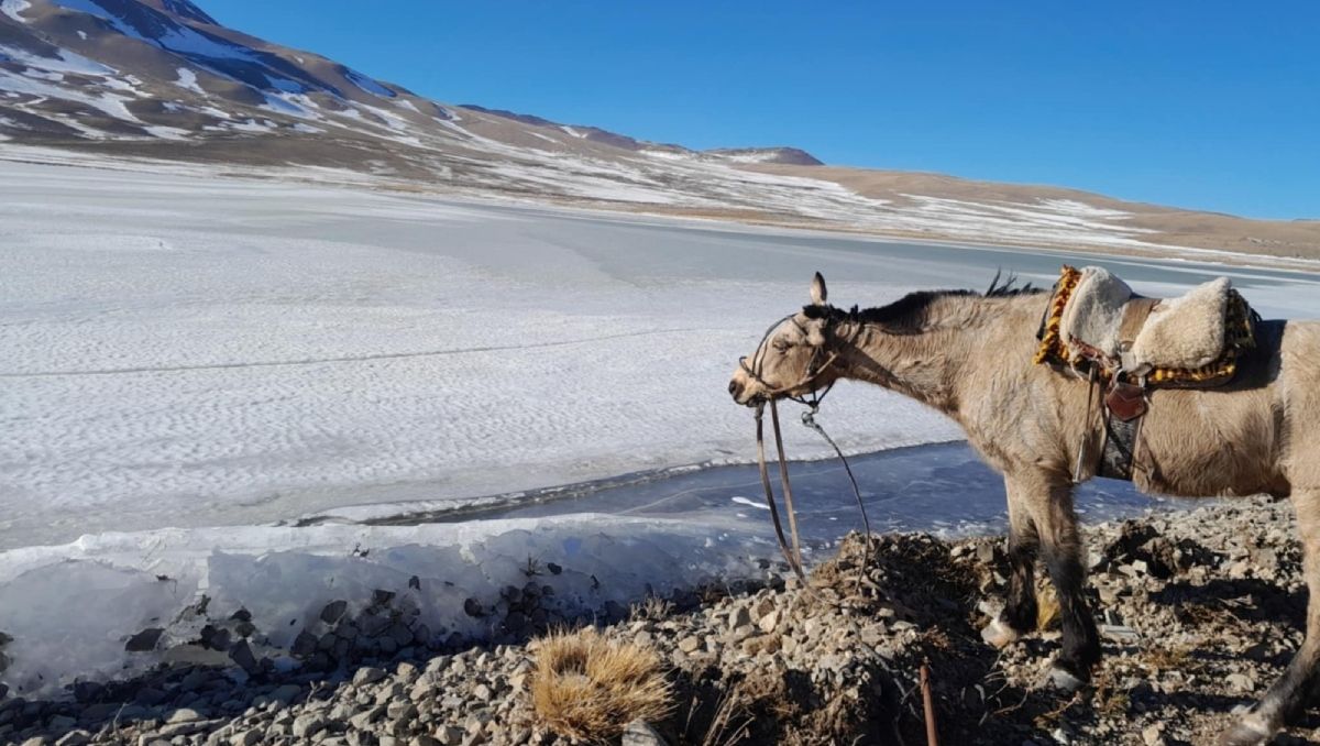Los pobladores aseguran que es la primera vez que la laguna se congela por completo. (Foto: Gentileza Damián Ormazabal)