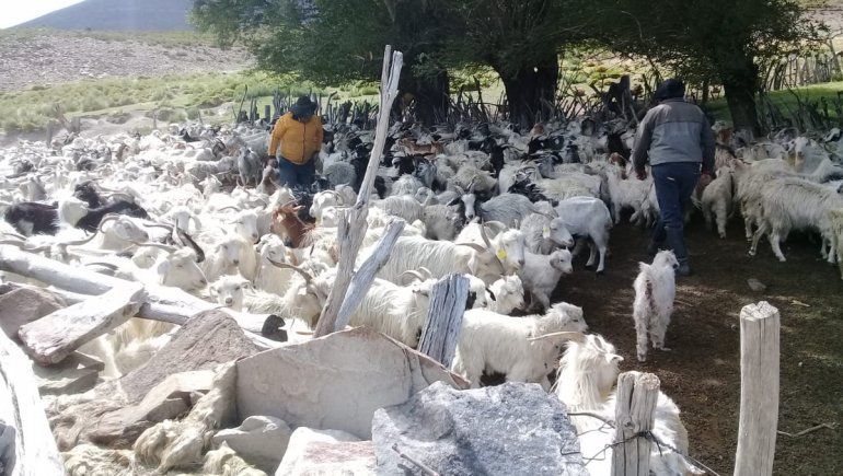 Crianceros de Villa Nahueve: sigue sin resolverse el conflicto por las tierras