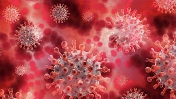 el mundo en alerta por la variante centaurus: que se sabe hasta el momento el mundo en alerta por la variante centaurus: que se sabe hasta el momento