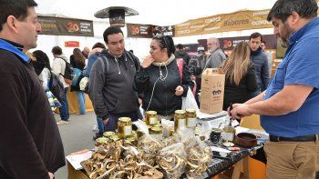p05-f02-produccion-hongos-emprendedores-parque-central.jpg