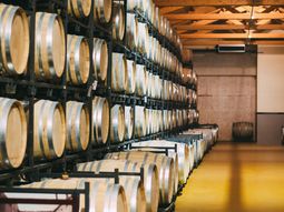 El escenario del sector se asoma complejo. Foto: Freepik El escenario del sector se asoma complejo. Foto: Freepik