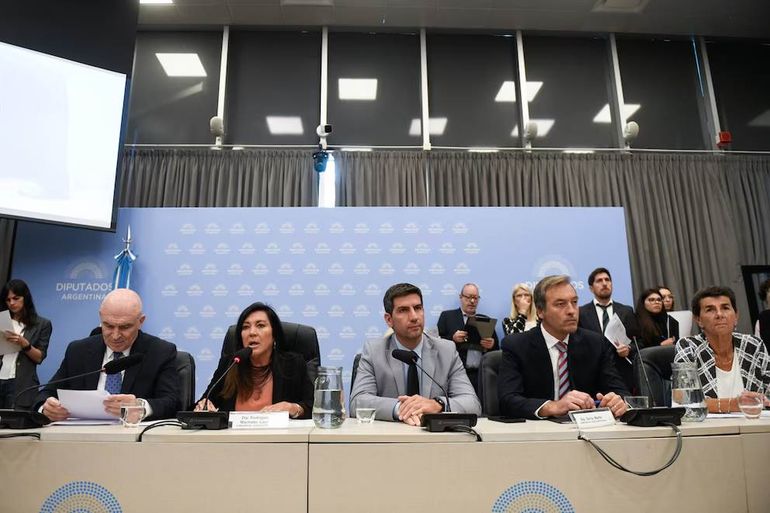 Reunión de las comisiones de Legislación Penal; Familia, Niñez y Juventudes; Justicia; y Presupuesto y Hacienda para debatir el proyecto de Régimen Penal Juvenil.jpg