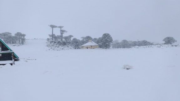 Intensa búsqueda de un grupo de neuquinos que hacían trekking en Primeros Pinos