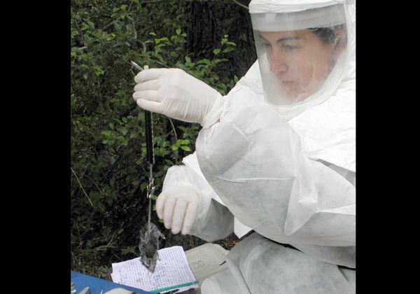 Seis sospechas y un caso de hantavirus desde 2012