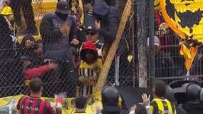 Escándalo: la violencia de los hinchas de Deportivo Madryn tras el ascenso frustrado a Primera | LM Neuquen Escándalo: la violencia de los hinchas de Deportivo Madryn tras el ascenso frustrado a Primera