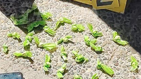 Un operativo de rutina terminó con el secuestro de varias dosis de cocaína y dinero | LM Neuquen Un operativo de rutina terminó con el secuestro de varias dosis de cocaína y dinero