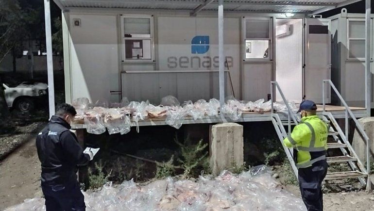 Atraparon a conductora intentando entrar a Río Negro con 65 costillares