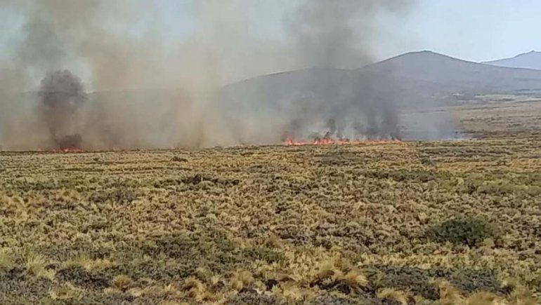 Brigadistas controlaron el incendio de pastizales en Las Lajas