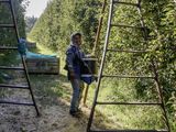 Los trabajadores rurales recibieron un nuevo aumento de sueldos.