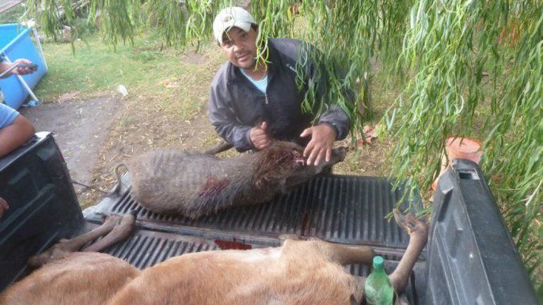 Policías acribillaron a un cazador furtivo